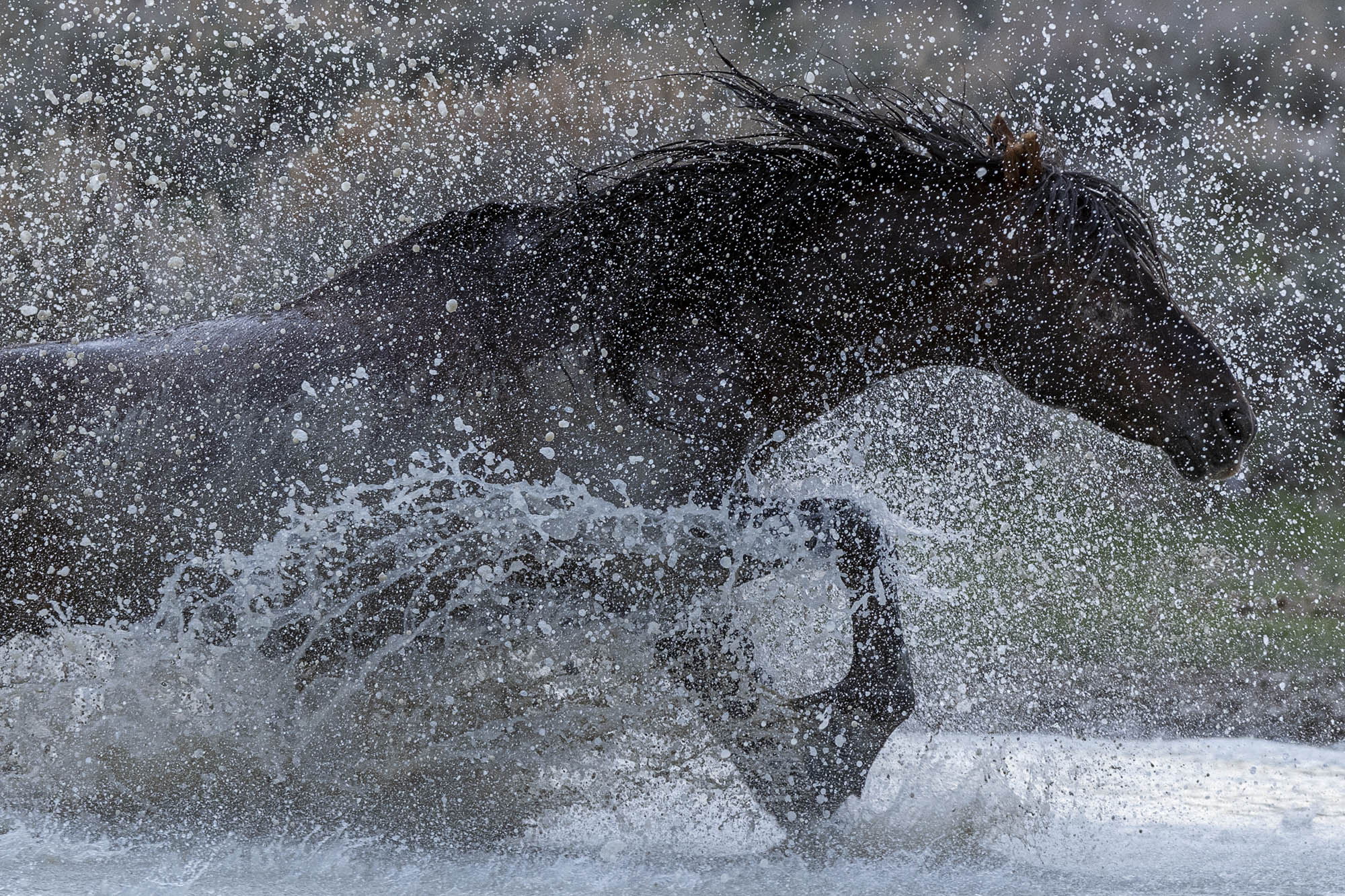Agricultural Photographer Colorado | Farming & Nature | Agriculture 1
