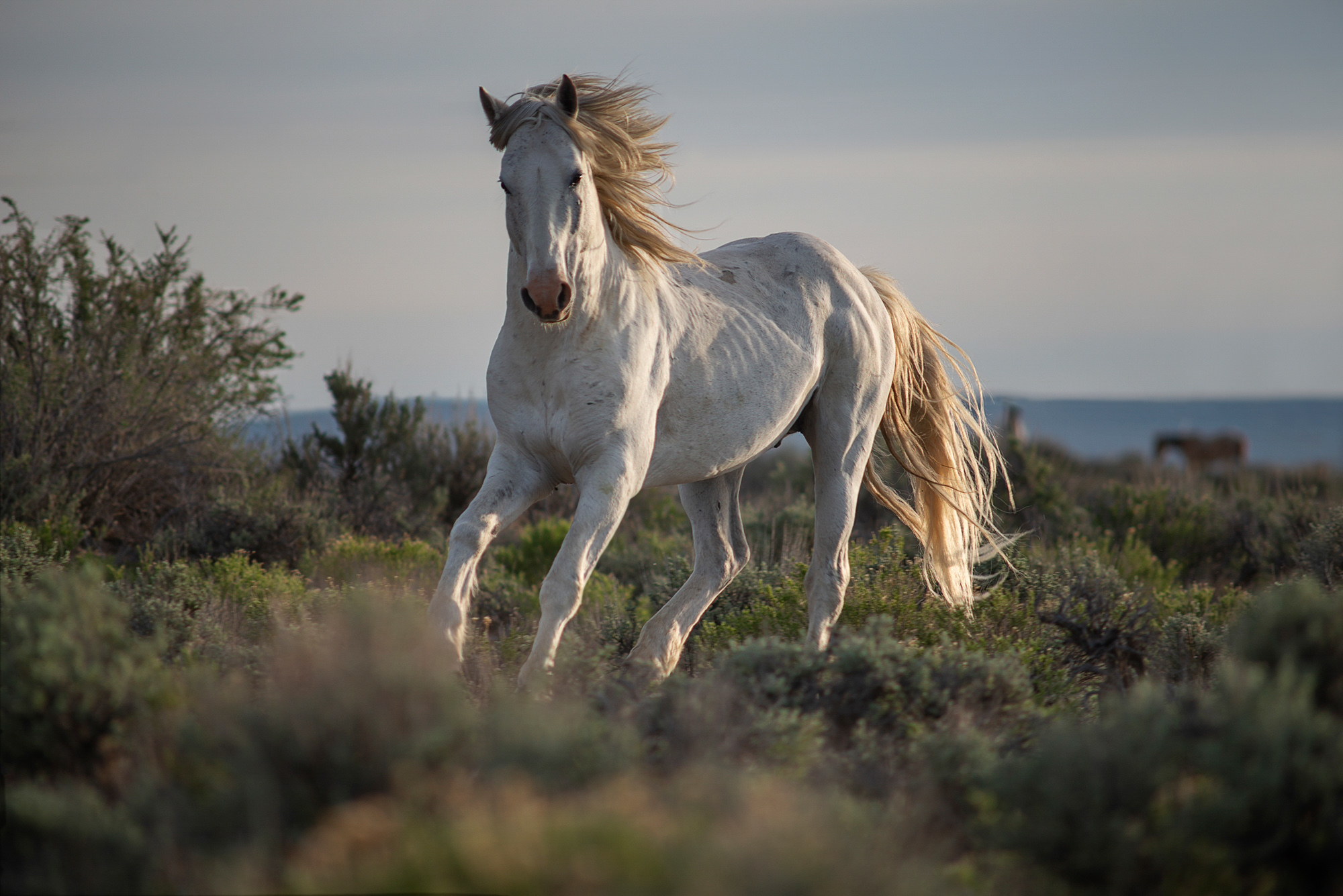 Agricultural Photographer Colorado | Farming & Nature | Photo 18