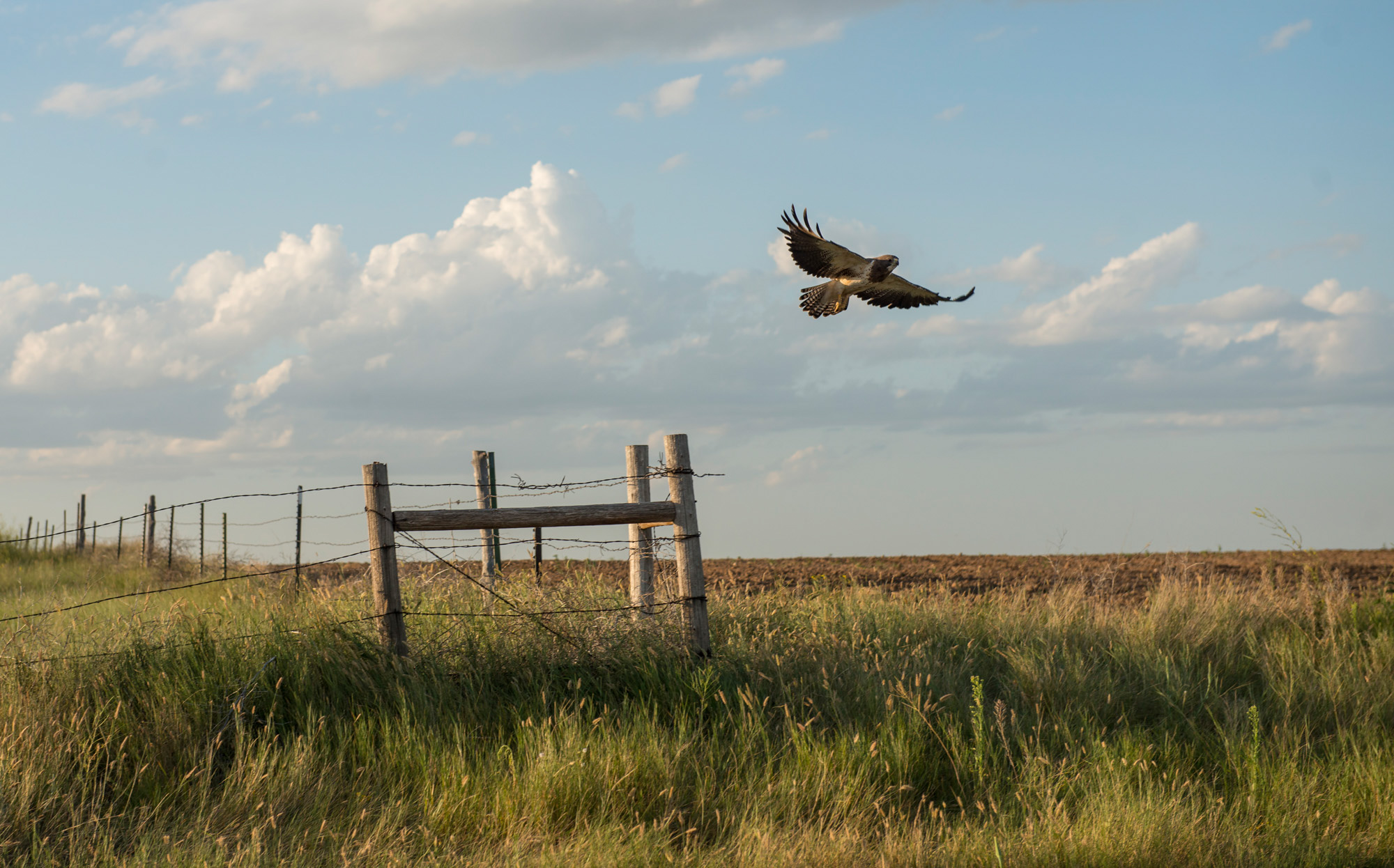 Agricultural Photographer Colorado | Farming & Nature | Photo 23