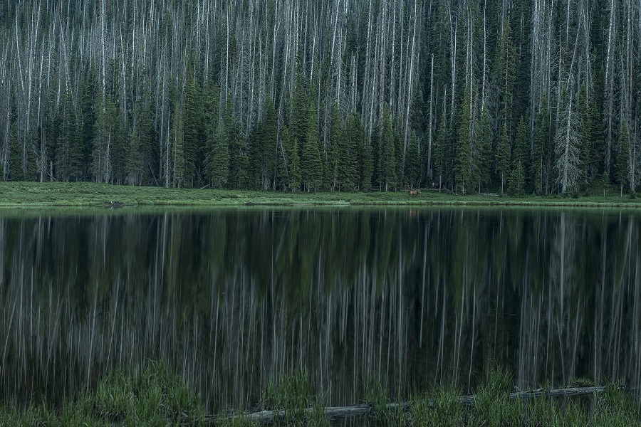 Colorado lake landscape