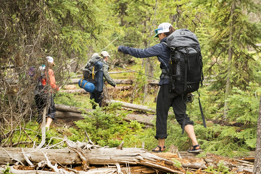 3 people hiking over logs